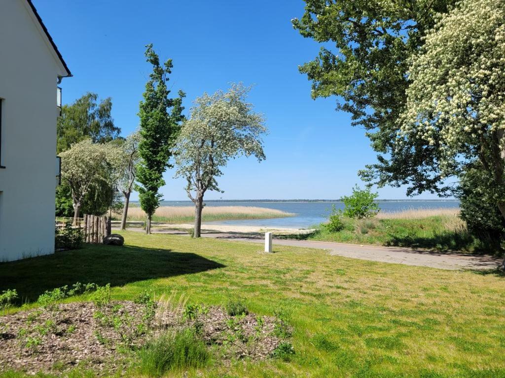 Baltic Lagoon Resort Direkt Am Meer Fuhlendorf  外观 照片