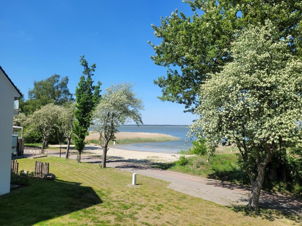 Baltic Lagoon Resort Direkt Am Meer Fuhlendorf  外观 照片