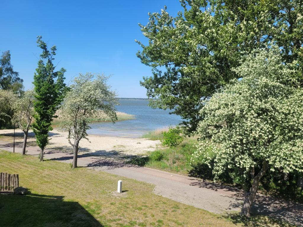 Baltic Lagoon Resort Direkt Am Meer Fuhlendorf  外观 照片
